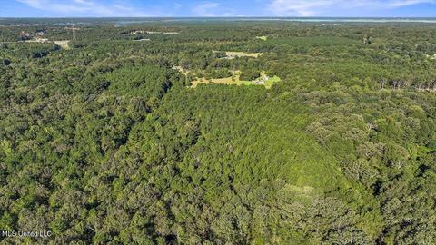0 Mount Helm Rd, Brandon, MS 39047 photo 11