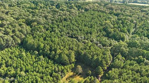 0 Mount Helm Rd, Brandon, MS 39047 photo 17