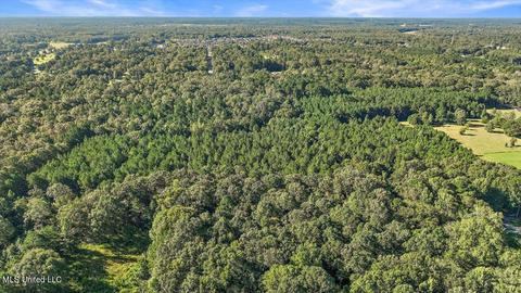 0 Mount Helm Rd, Brandon, MS 39047 photo 14