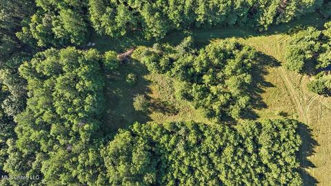 0 Mount Helm Rd, Brandon, MS 39047 photo 16