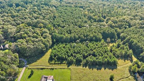 0 Mount Helm Rd, Brandon, MS 39047 photo 4