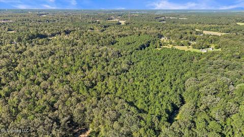 0 Mount Helm Rd, Brandon, MS 39047 photo 12