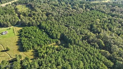 0 Mount Helm Rd, Brandon, MS 39047 photo 6