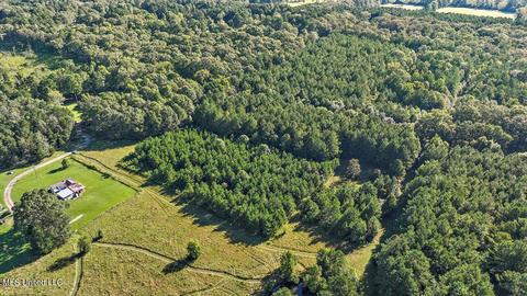 0 Mount Helm Rd, Brandon, MS 39047 photo 5
