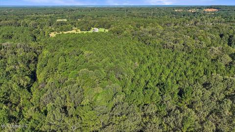 0 Mount Helm Rd, Brandon, MS 39047 photo 20