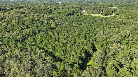 0 Mount Helm Rd, Brandon, MS 39047 photo 19