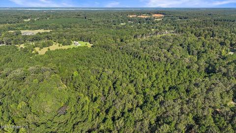0 Mount Helm Rd, Brandon, MS 39047 photo 10