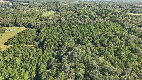 0 Mount Helm Rd, Brandon, MS 39047 photo 8