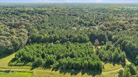 0 Mount Helm Rd, Brandon, MS 39047 photo 22
