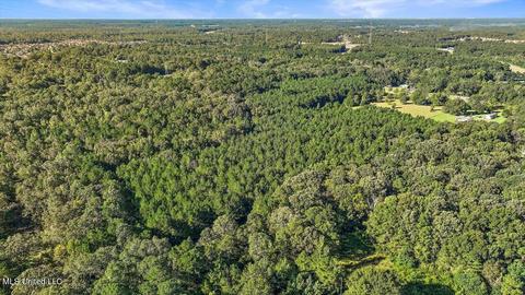 0 Mount Helm Rd, Brandon, MS 39047 photo 13