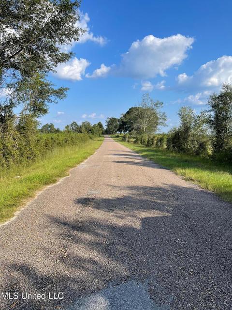Harlan Davis Road, Lumberton, MS 39455