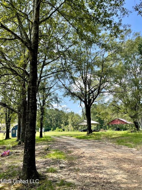 283 Craig Rd, Lena, MS 39094 photo 38
