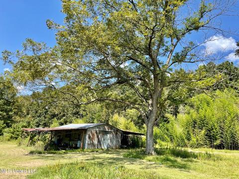 283 Craig Rd, Lena, MS 39094 photo 36