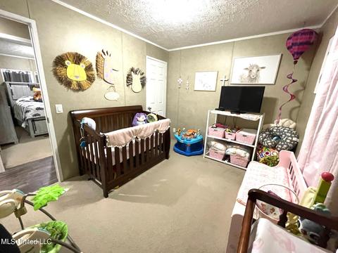 283 Craig Rd, Lena, MS 39094 photo 28