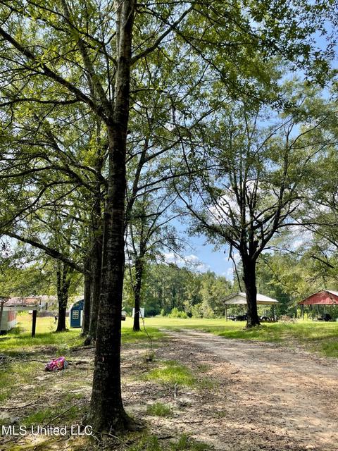283 Craig Rd, Lena, MS 39094 photo 39