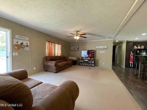 283 Craig Rd, Lena, MS 39094 photo 14