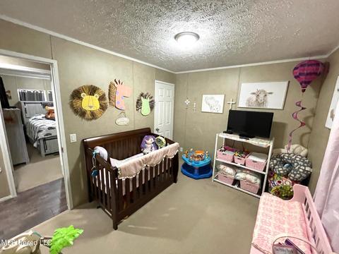 283 Craig Rd, Lena, MS 39094 photo 29