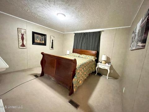 283 Craig Rd, Lena, MS 39094 photo 17