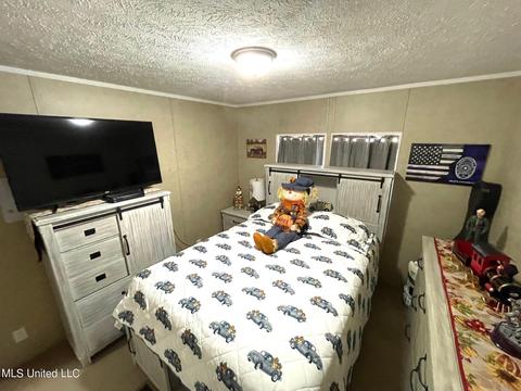 283 Craig Rd, Lena, MS 39094 photo 32