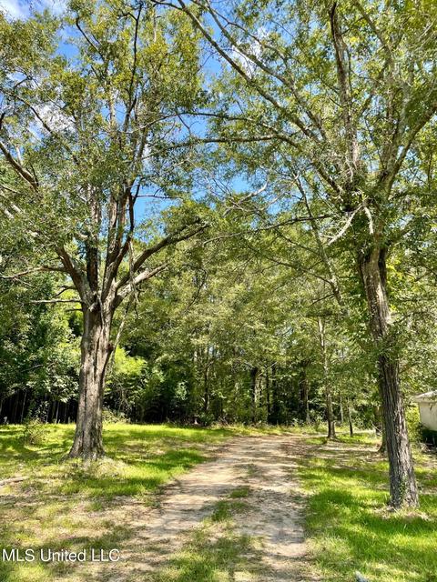 283 Craig Rd, Lena, MS 39094 photo 34