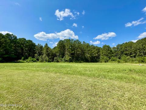 283 Craig Rd, Lena, MS 39094 photo 13