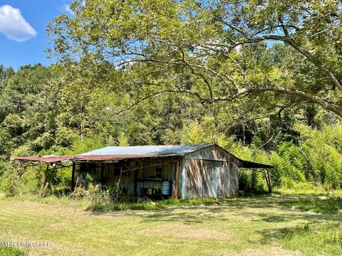 283 Craig Rd, Lena, MS 39094 photo 35