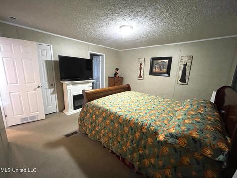 283 Craig Rd, Lena, MS 39094 photo 24