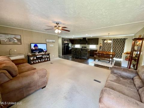 283 Craig Rd, Lena, MS 39094 photo 9
