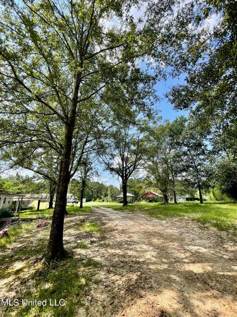283 Craig Rd, Lena, MS 39094 photo 40