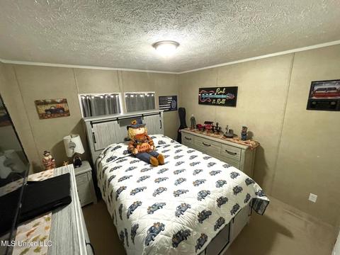 283 Craig Rd, Lena, MS 39094 photo 26