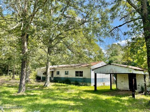 283 Craig Rd, Lena, MS 39094 photo 37