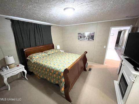 283 Craig Rd, Lena, MS 39094 photo 18