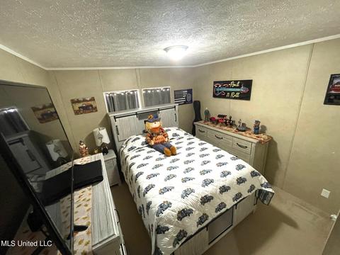 283 Craig Rd, Lena, MS 39094 photo 25
