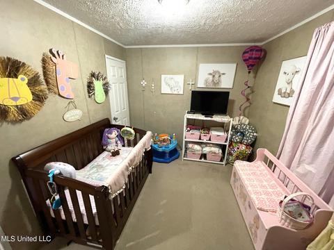 283 Craig Rd, Lena, MS 39094 photo 27