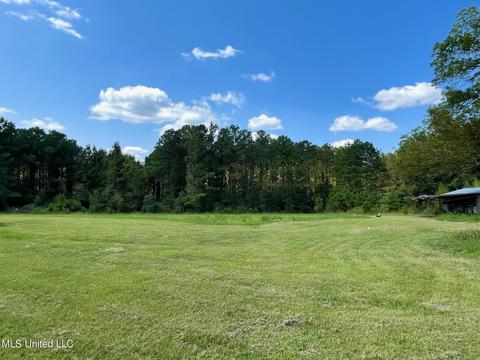 283 Craig Rd, Lena, MS 39094 photo 8