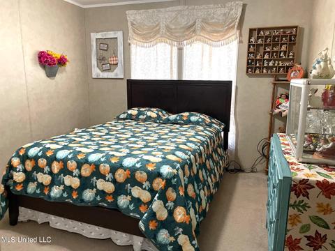 283 Craig Rd, Lena, MS 39094 photo 31