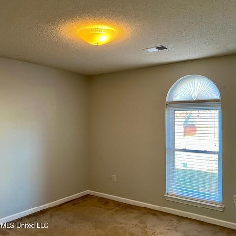 1670 Timber Creek Dr, Hernando, MS 38632 photo 9