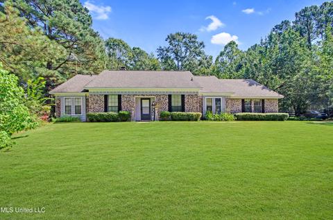 866 Trickhambridge Rd, Brandon, MS 39042 photo 1