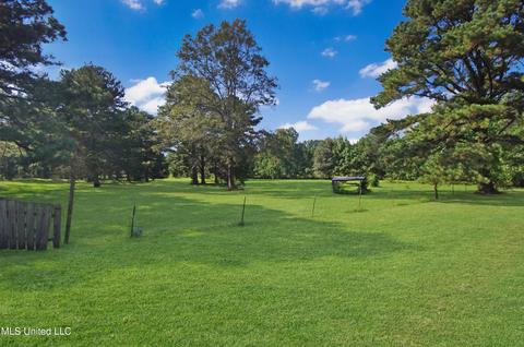 866 Trickhambridge Rd, Brandon, MS 39042 photo 3