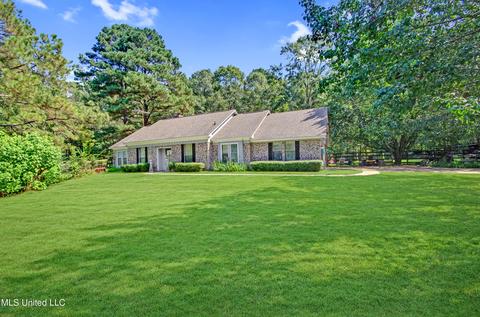866 Trickhambridge Rd, Brandon, MS 39042 photo 33