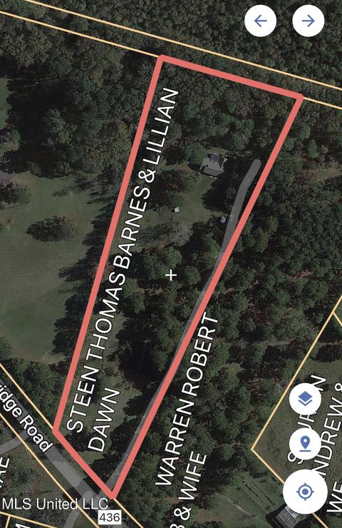 866 Trickhambridge Rd, Brandon, MS 39042 photo 34