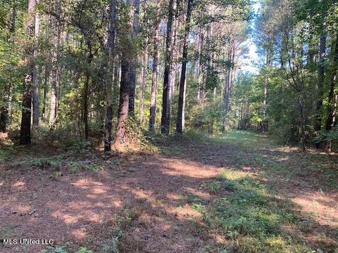 St. Anne Rd. Road, Carthage, MS 39051
