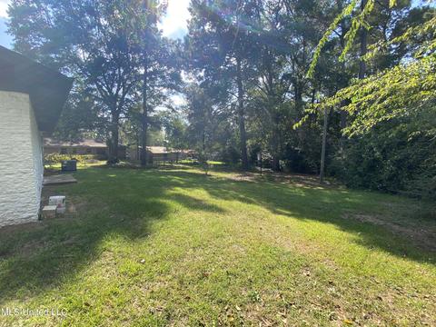 1008 NE Mclaurin Dr, Magee, MS 39111 photo 12