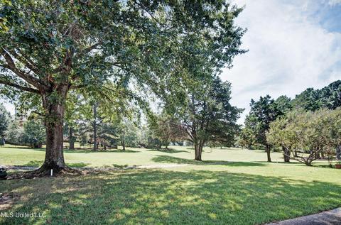 112 Greens View Drive Dr, Madison, MS 39110 photo 3