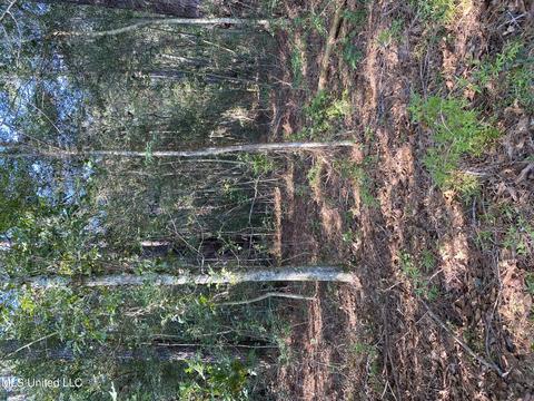 E Virgil Lewis Road, Carriere, MS 39426
