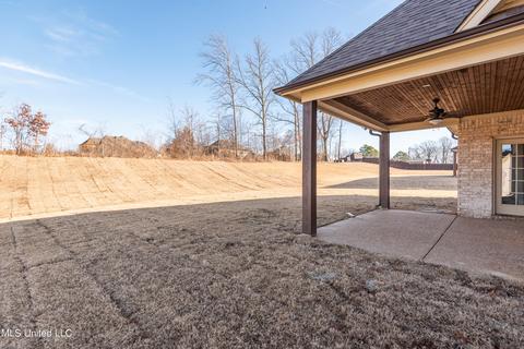 4864 Bakers Trail East Dr, Nesbit, MS 38651 photo 26
