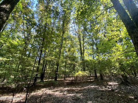 410 Mt Leopard Rd, Flora, MS 39071 photo 1