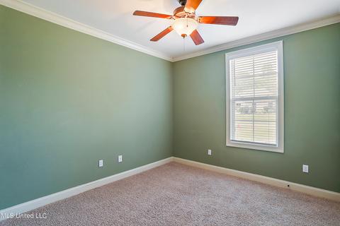 114 Turtle Ridge Dr, Brandon, MS 39047 photo 36