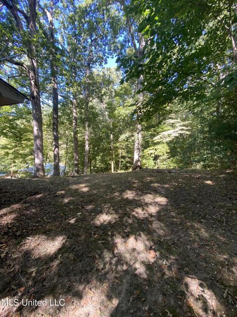 10968 Chickasaw Dr, Hernando, MS 38632 photo 18
