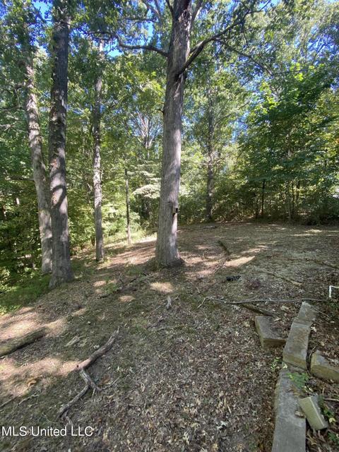 10968 Chickasaw Dr, Hernando, MS 38632 photo 17